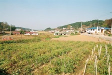 옹진포토-승봉도 마을전경 내용 | media
