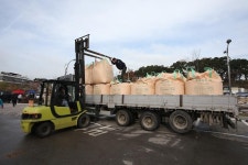 옹진포토-영흥면공공비축미곡매입현장방문 2015년11월19일 내용 | media