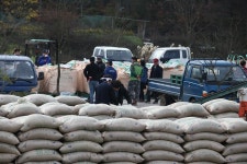 옹진포토-영흥면공공비축미곡매입현장방문 2015년11월19일 내용 | media