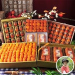 오픈메디칼 - 생활건강의료기기 종합몰 오픈메디칼