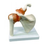 생활건강 의료기기 쇼핑몰 오픈메디칼 오픈메디칼