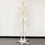 생활건강 의료기기 쇼핑몰 오픈메디칼 오픈메디칼