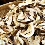 생활건강 의료기기 쇼핑몰 오픈메디칼 오픈메디칼