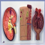 오픈메디칼 - 생활건강의료기기 종합몰 오픈메디칼