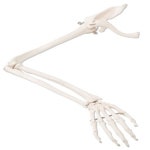 오픈메디칼 - 생활건강의료기기 종합몰 오픈메디칼