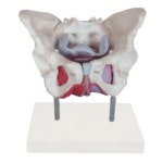 오픈메디칼 - 생활건강의료기기 종합몰 오픈메디칼