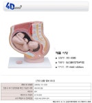 오픈메디칼 - 생활건강의료기기 종합몰 오픈메디칼