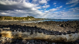 8코스 : 월평 - 대평 올레 - 나홀로 걷는 올레 앨범 - 오름나들이