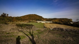 9코스 : 대평 - 화순 올레 - 나홀로 걷는 올레 앨범 - 오름나들이