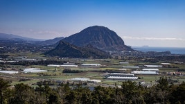 11코스 : 모슬포 - 무릉 올레 - 나홀로 걷는 올레 앨범 - 오름나들이