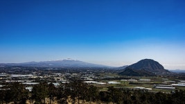 11코스 : 모슬포 - 무릉 올레 - 나홀로 걷는 올레 앨범 - 오름나들이