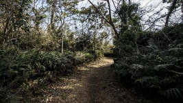 13코스 : 용수 - 저지 올레 - 나홀로 걷는 올레 앨범 - 오름나들이