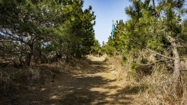 14코스 : 저지 - 한림 올레 - 나홀로 걷는 올레 앨범 - 오름나들이