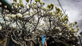 18코스 : 제주원도심 - 조천 올레 - 나홀로 걷는 올레 앨범 - 오름나들이