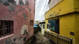 18코스 : 제주원도심 - 조천 올레 - 나홀로 걷는 올레 앨범 - 오름나들이