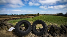 20코스 : 김녕 - 하도 올레 - 나홀로 걷는 올레 앨범 - 오름나들이