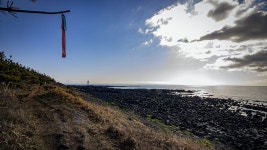 4코스 : 표선 - 남원올레 - 나홀로 걷는 올레 앨범 - 오름나들이