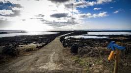 4코스 : 표선 - 남원올레 - 나홀로 걷는 올레 앨범 - 오름나들이