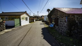 4코스 : 표선 - 남원올레 - 나홀로 걷는 올레 앨범 - 오름나들이