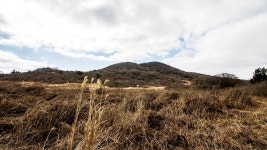 폭낭오름 - 오름별 정보 - 오름나들이