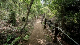고근산 - 바람이 불어오는 곳, 그곳으로 가자. - 오름을 오르며 - 오름나들이