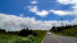 초록(草綠) 속을 달리는 산록도로(山麓道路) - 제주도여행 - 오름나들이