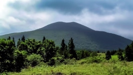 초록(草綠) 속을 달리는 산록도로(山麓道路) - 제주도여행 - 오름나들이