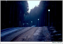 새벽의 숲 길을..... - 삶의 향기 - 오름나들이