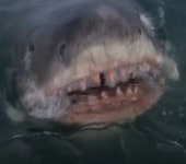 프로그램도 487,000주 폭발적 매수 중~~~~ | 포톤(208710) | 종목토론 - 팍스넷 증권포털