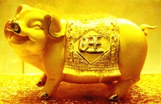 2019 기해년 황금복돼지,,,,,,,,,,,,,, | EDGC(245620) | 종목토론 - 팍스넷 증권포털