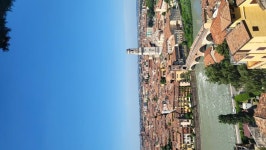 아침에 | 전체글보기 | 커뮤니티 - 팍스넷 증권포털