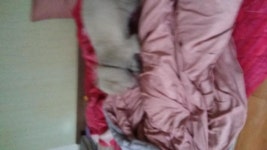 뒷집 소농장 사장님하구 대판 싸우고 | 전체글보기 | 커뮤니티 - 팍스넷 증권포털