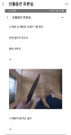 식물성 대체육은 밀, 글루텐 및 대두 단백질을 주 원료 | 강추이종목 | 커뮤니티 - 팍스넷 증권포털