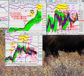 ~야호, 노래 연습중, 친구놈들 만나서 술 마시면 꼭 노래방 가자고 하는 놈들이 있어 가지고// | 전체글보기 | 커뮤니티 - 팍스넷 증권포털