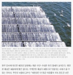 ........‘새똥광’ | 거래소시황 | 커뮤니티 - 팍스넷 증권포털