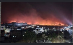 코레일 영주~안동~영천 및 동해~포항 운행 중지 영향 추정 사망자 속출 고속도로 통제 3곳 | 전체글보기 | 커뮤니티 - 팍스넷 증권포털