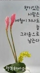 2025년 상반기 마무리 | 전체글보기 | 커뮤니티 - 팍스넷 증권포털