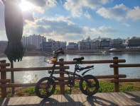 무등이 말대로 저수지...방죽 자전거로.....돌때 됐다...나간다 무등아.....헤헤... | 전체글보기 | 커뮤니티 - 팍스넷 증권포털