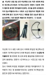 시끄럽다 종놈의 북소리야. 너네집이 특임대냐? ㅎㅎㅎ | 시사게시판 | 커뮤니티 - 팍스넷 증권포털