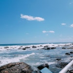 당분간 매매없을것 같습니다 ㅎ | 데이트레이딩 | 커뮤니티 - 팍스넷 증권포털