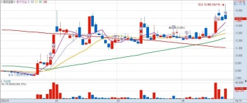 미스고 | 데이트레이딩 | 커뮤니티 - 팍스넷 증권포털