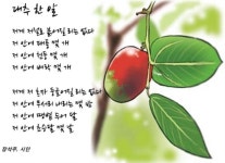 대추 한알..... | 에디터추천글 | 커뮤니티 - 팍스넷 증권포털