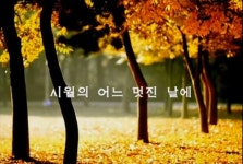시월의 어느 멋진날에..... | 에디터추천글 | 커뮤니티 - 팍스넷 증권포털