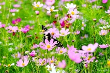 쇠퇴하는 노량진 고시촌 | 깔깔유머방 | 커뮤니티 - 팍스넷 증권포털