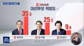 홍준표 같은과 동기의 대선주/재무상태 건전하고 흑자에 배당주 | 팜스빌(318010) | 종목토론 - 팍스넷 증권포털