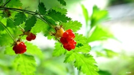 고성에서... | 사진게시판 | 커뮤니티 - 팍스넷 증권포털