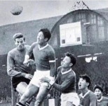 1966년 월드컵 이후 북한 때문에 생긴 규칙 | 연예스포츠 | 커뮤니티 - 팍스넷 증권포털