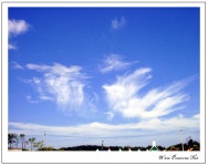 오늘 임진각을 다녀왔습니다. - 카시오 갤러리