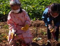 게시물 보기 페이지