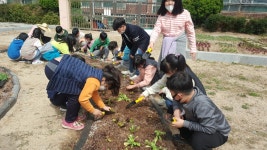 게시물 보기 페이지